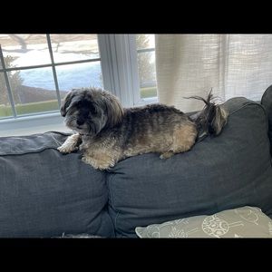 Meet your Posher, Jack